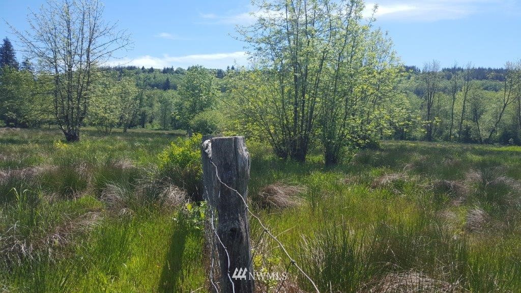 154 Johnson Road Onalaska, WA 98570 - Photo 8 of 24 Gallery Image 8