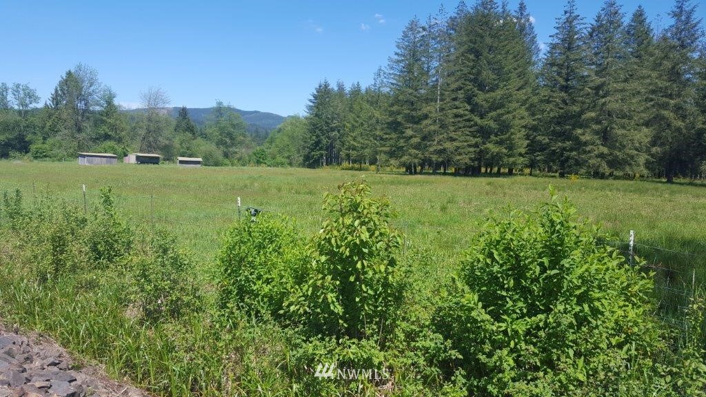154 Johnson Road Onalaska, WA 98570 - Photo 9 of 24 Gallery Image 9