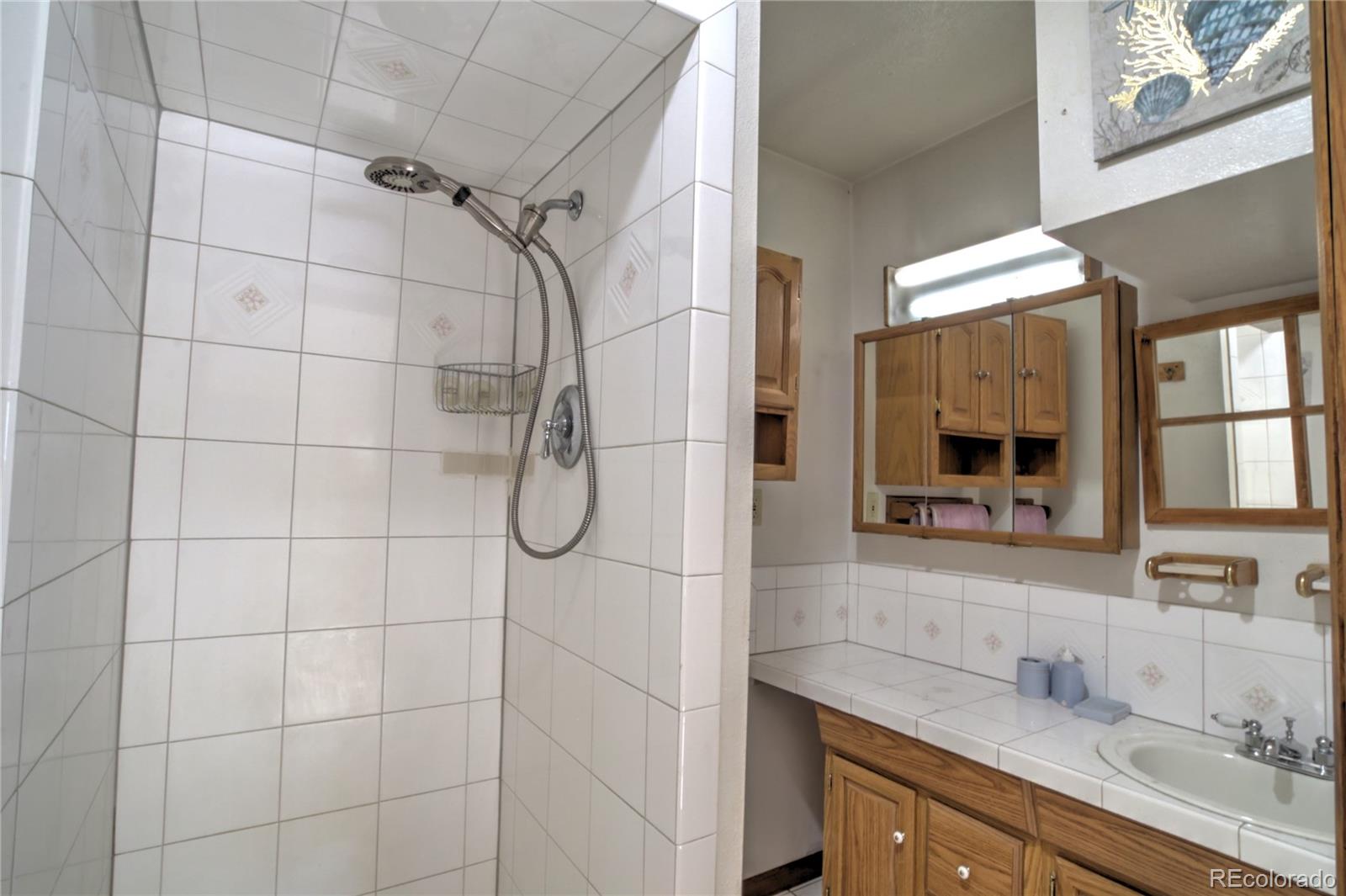 462 Rising Sun Road Bailey, CO 80421 - Photo 13 of 29
