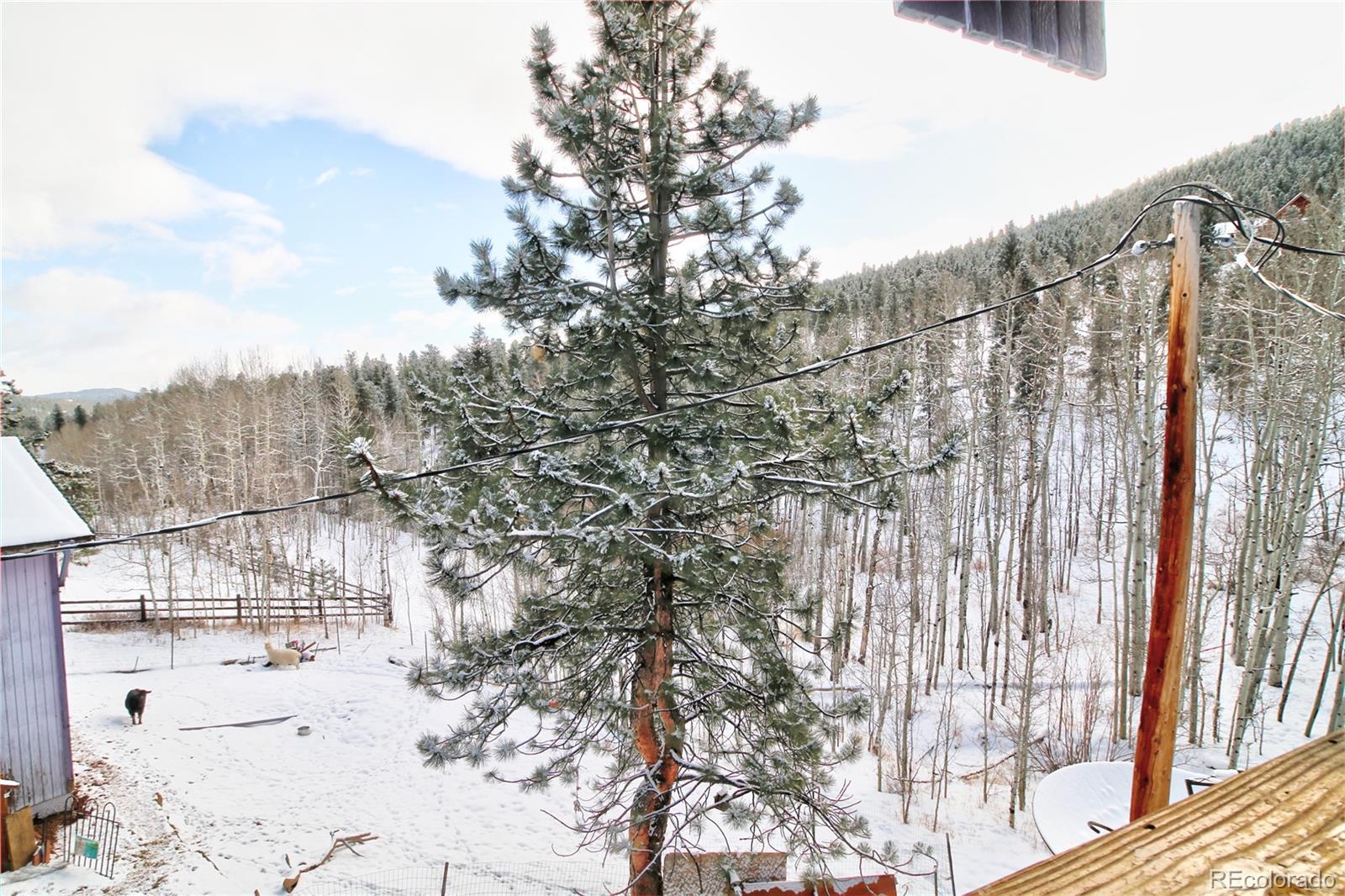 462 Rising Sun Road Bailey, CO 80421 - Photo 21 of 29