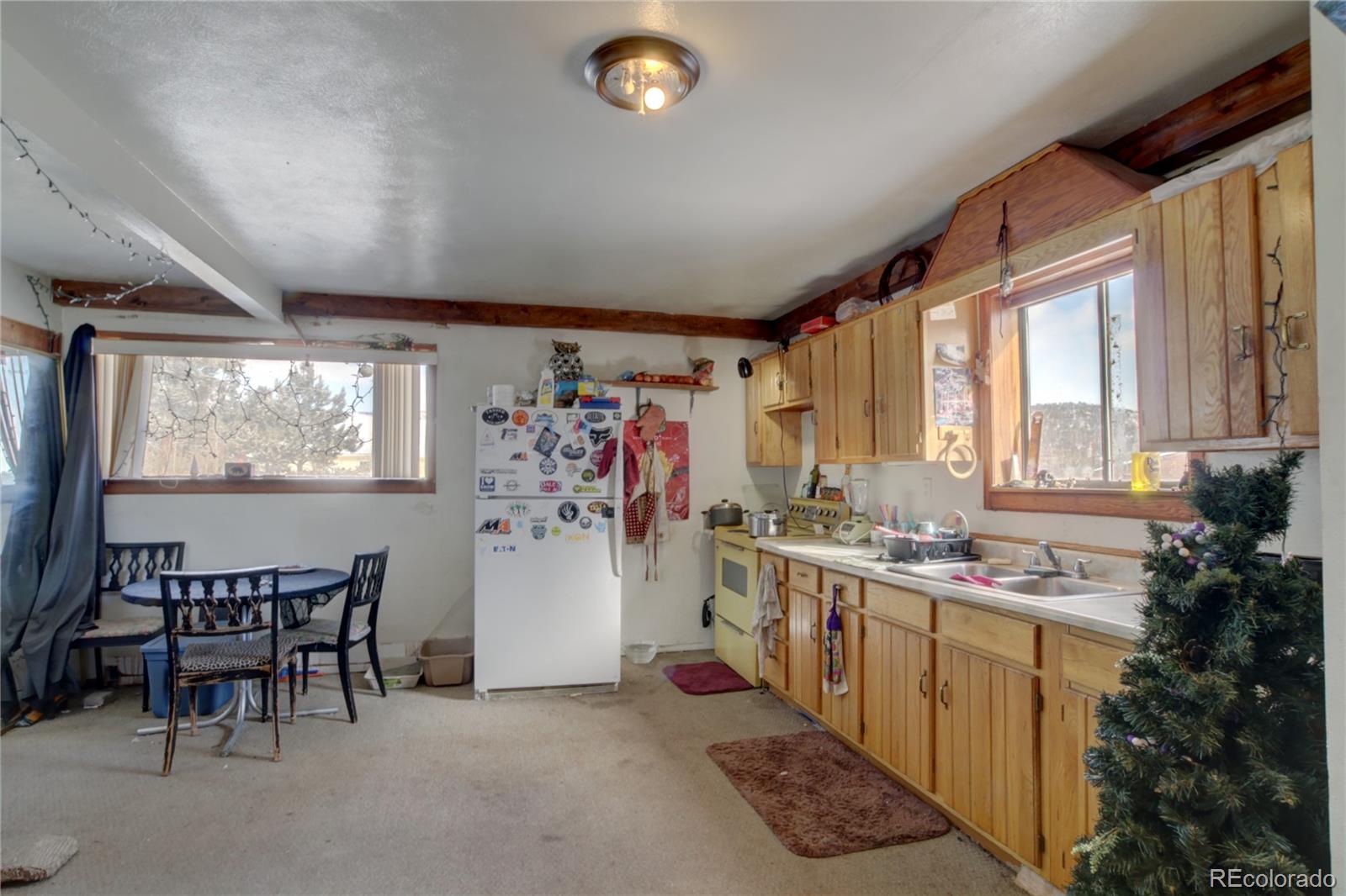 462 Rising Sun Road Bailey, CO 80421 - Photo 22 of 29