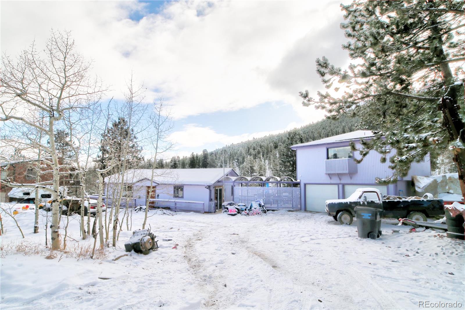 462 Rising Sun Road Bailey, CO 80421 - Photo 3 of 29