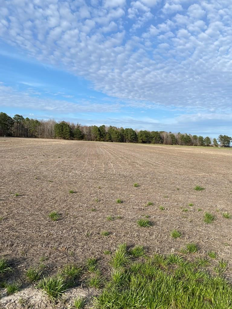0 Folley Road Elizabeth City, NC 27909 - Photo 3 of 3 Gallery Image 3