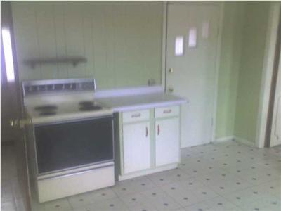 503 Merrick Street Belding, MI 48809 - Photo 3 of 6 Additional Photo