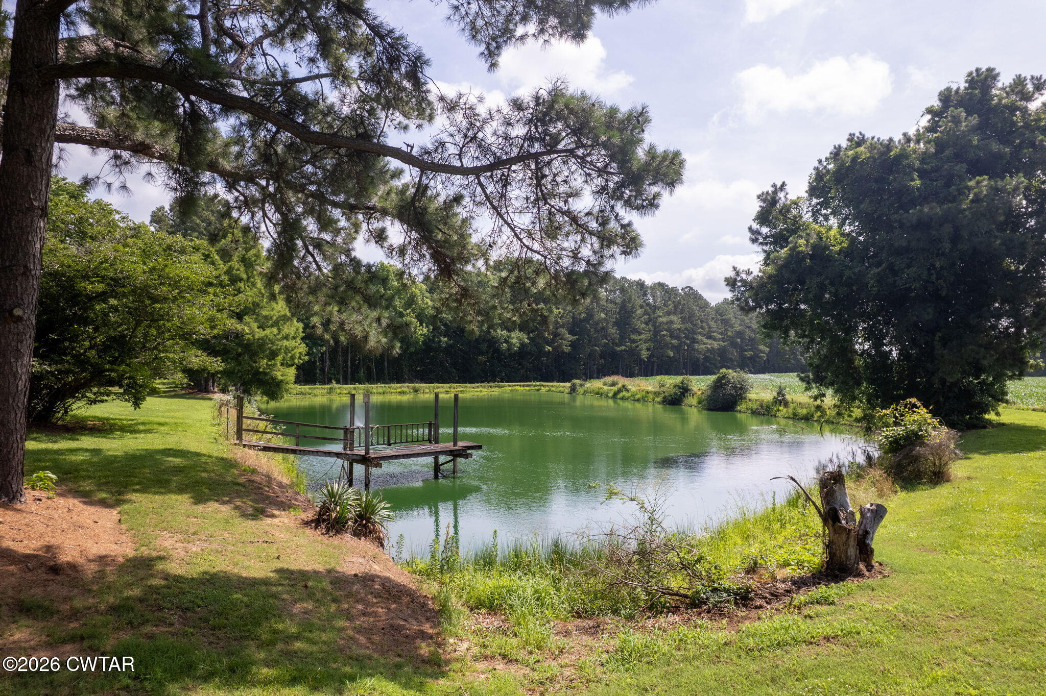 32 Herman Cavitt Road Dyer, TN 38330 - Photo 35 of 36 DJI_0054-HDR