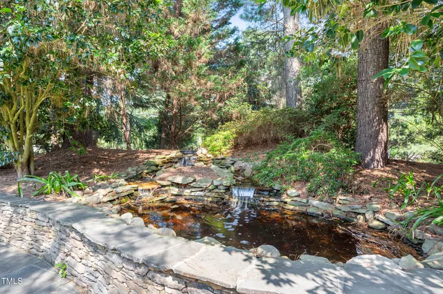 a view of a tree with plants in front of it