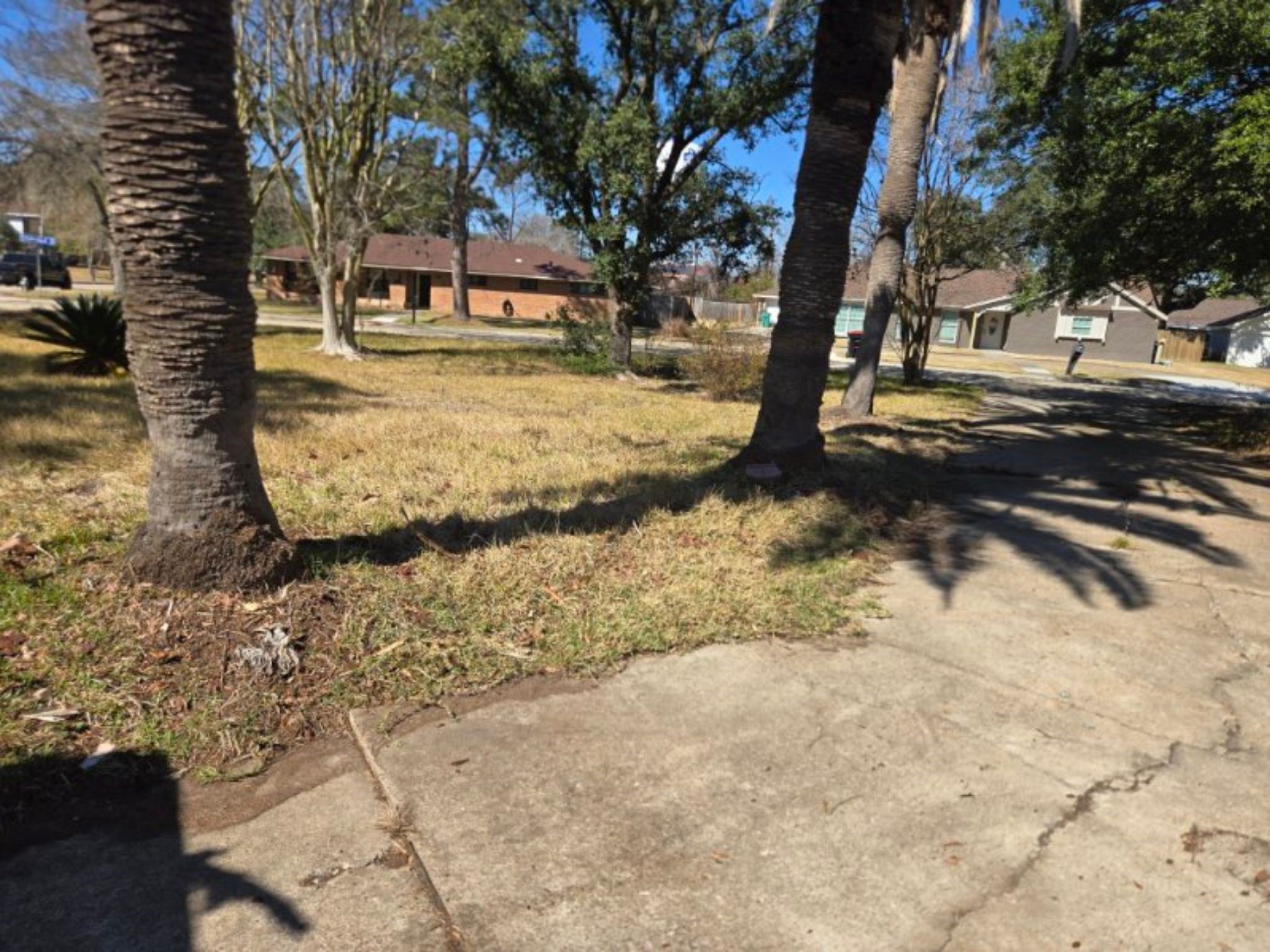 5006 Interlachen Street Baytown, TX 77521 - Photo 5 of 26 a view of a yard covered with snow in the road