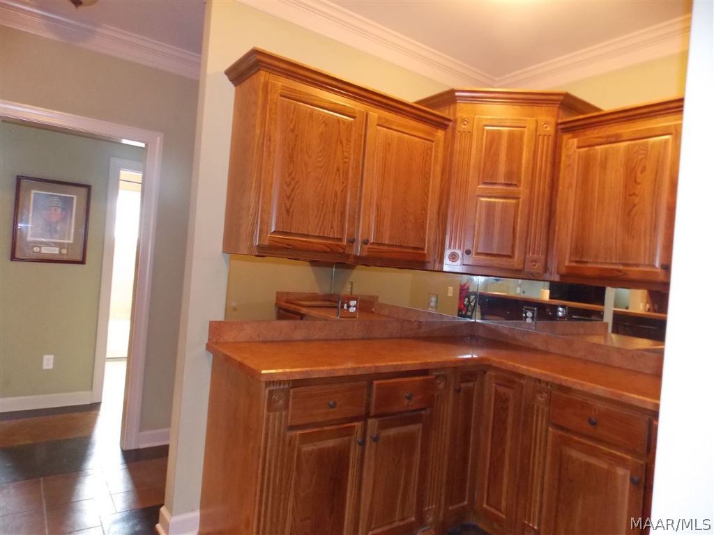 330 Steven Ferry Road Samson, AL 36477 - Photo 13 of 36 Gallery Image 13