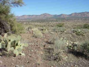 Ranch Road Kingman, AZ 86401 - Photo 1 of 3 a view of mountain and a lake view