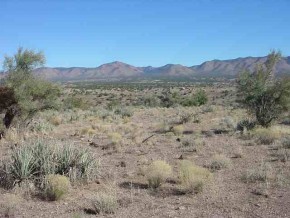 Ranch Road Kingman, AZ 86401 - Photo 2 of 3 a view of a large mountain with a mountain in the background