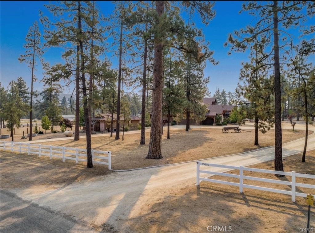 35650 Pyramid Peak Road Mountain Center, CA 92561 - Photo 10 of 24 a view of road with trees