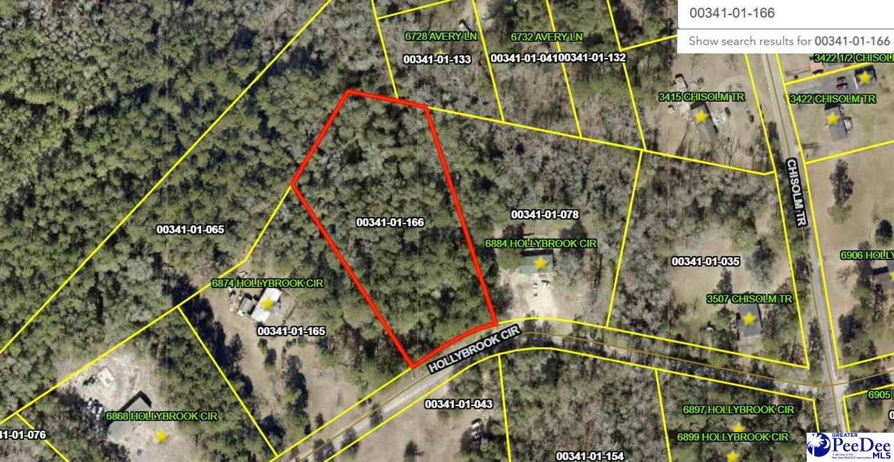 Tbd Tbd Hollybrook Road Florence, SC 29501 - Photo 1 of 1 Gallery Image 1