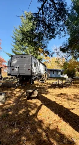 a view of a town with large trees
