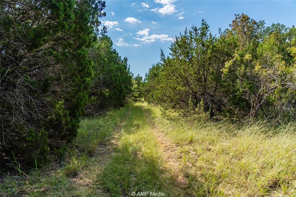1982 Mountain Pass Merkel, TX 79536 - Photo 18 of 40 View of landscape