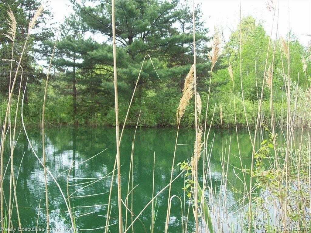 250 South Allen Road St. Clair, MI 48079 - Photo 24 of 24 Pond 2