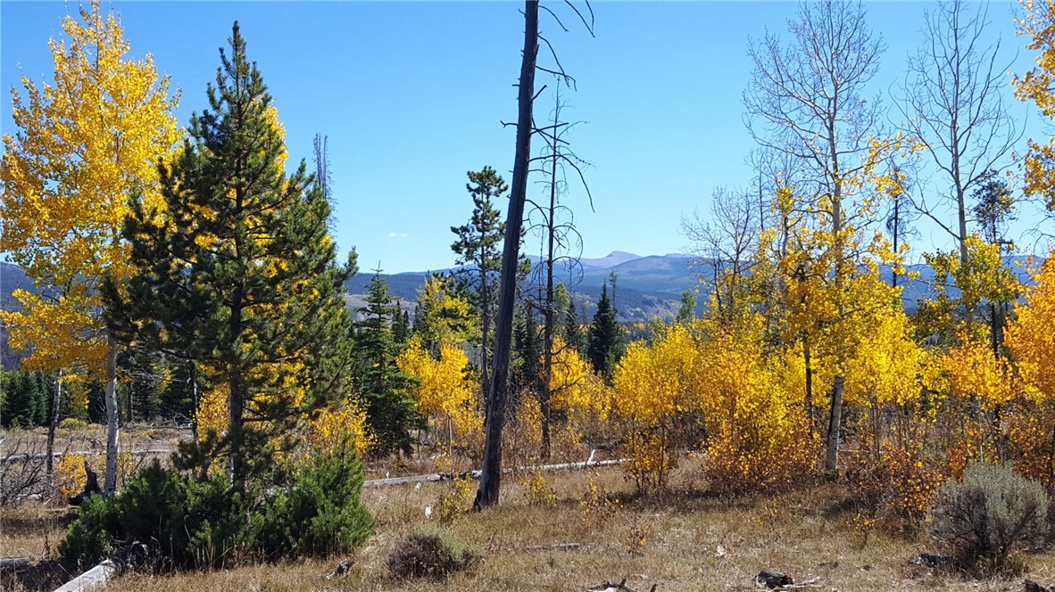 12200 Ute Pass Road Silverthorne, CO 80498 - Photo 9 of 25 Gallery Image 9
