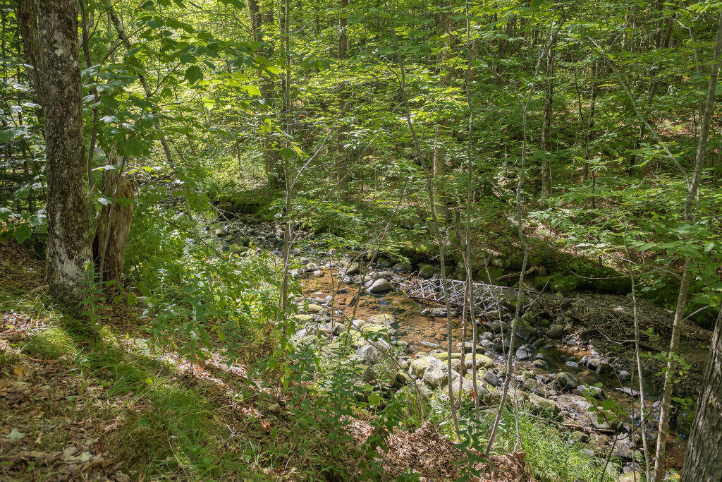 815 West Side Road Weld, ME 04285 - Photo 24 of 35 taylor-kaminsky-photo-14