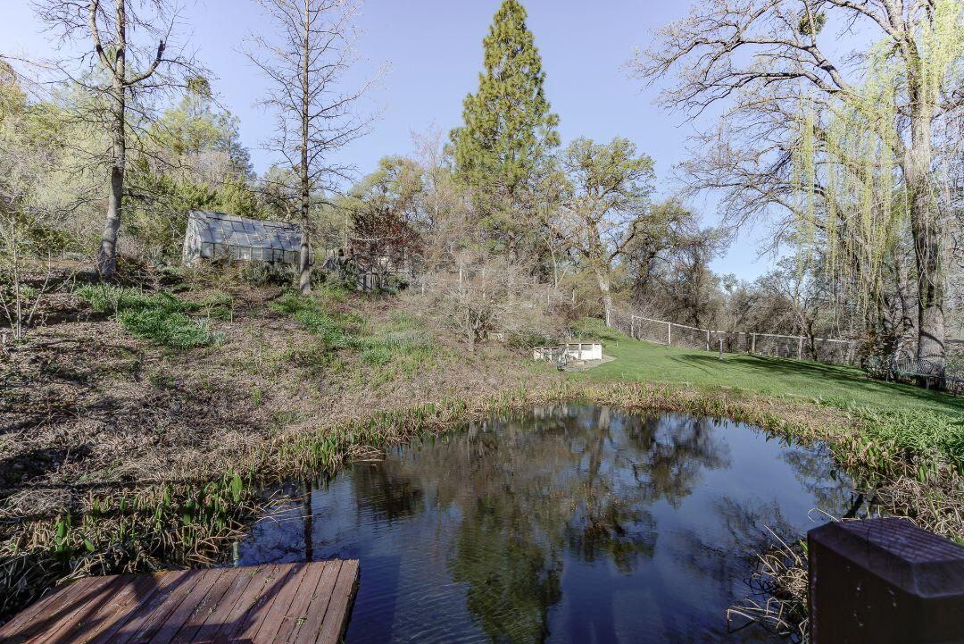 29571 Whitmore Road Whitmore, CA 96096 - Photo 79 of 116 Pond