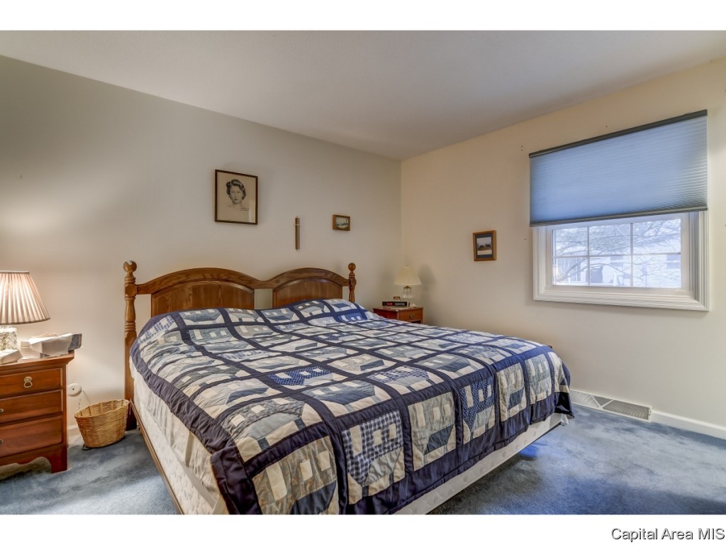 136 Cypress Point Drive Springfield, IL 62704 - Photo 13 of 31 Gallery Image 13
