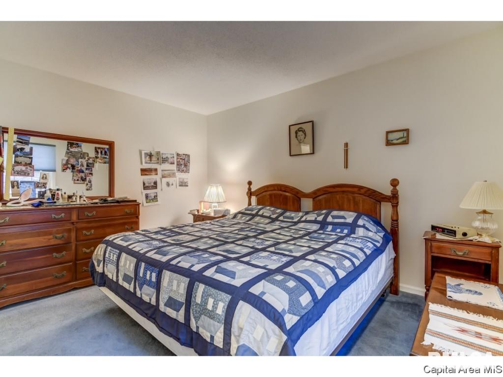 136 Cypress Point Drive Springfield, IL 62704 - Photo 14 of 31 Gallery Image 14