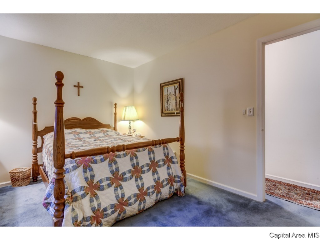 136 Cypress Point Drive Springfield, IL 62704 - Photo 19 of 31 Gallery Image 19