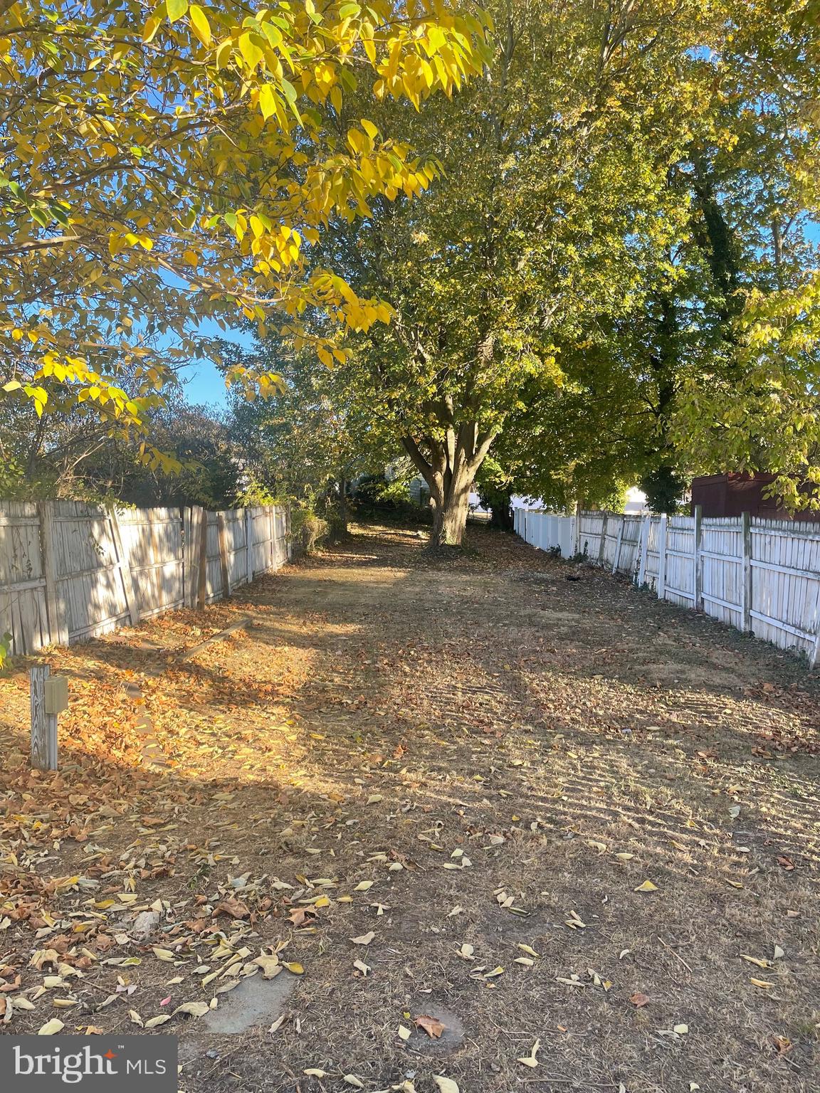 323 High Street Westville, NJ 08093 - Photo 5 of 33 a view of yard with tree and wooden fence