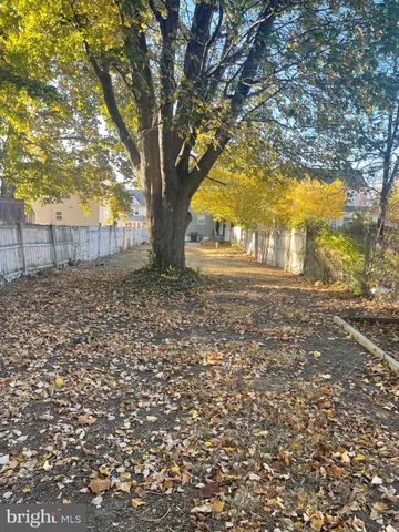 a view of yard with trees