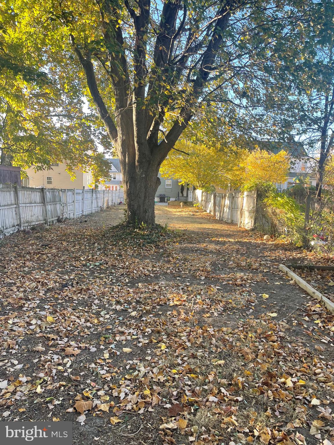 323 High Street Westville, NJ 08093 - Photo 7 of 33 a view of yard with trees