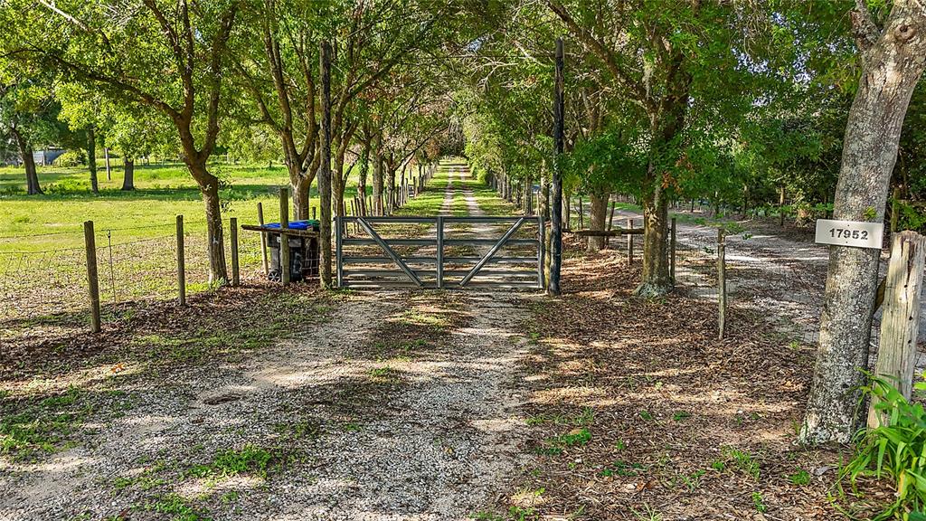17952 Lookout Hill Road Winter Garden, FL 34787 - Photo 6 of 7