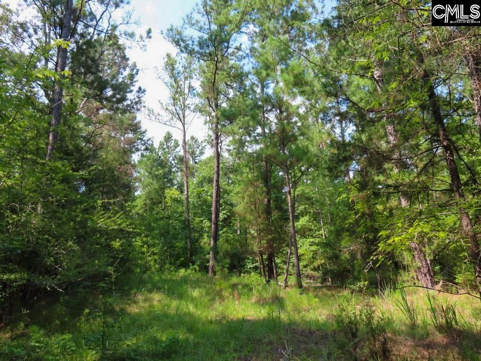 0 Landis Road Winnsboro, SC 29180 - Photo 55 of 83 Gallery Image 55