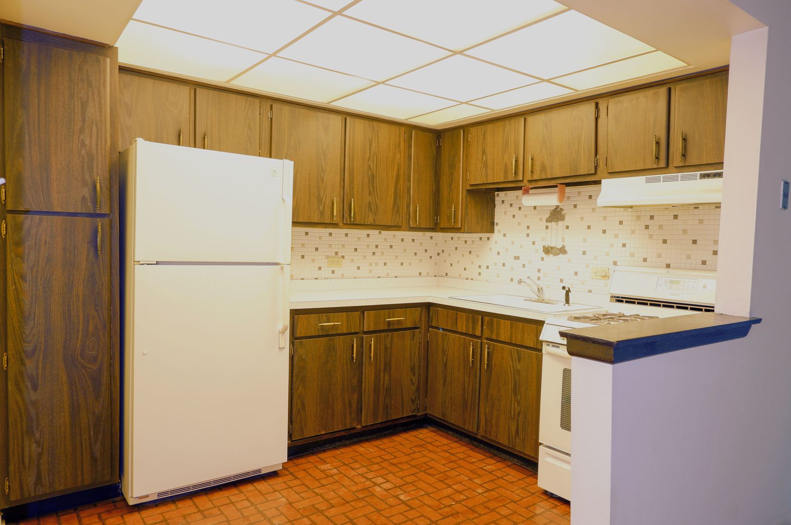 9832 Nottingham Avenue, Unit 10 Chicago Ridge, IL 60415 - Photo 3 of 14 Gallery Image 3