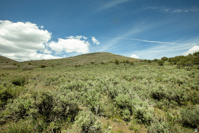 1646 North Miles Holw Road, Unit 29 Kamas, UT 84036 - Photo 26 of 35 Expansive hillside property featuring natural vegetation and open land