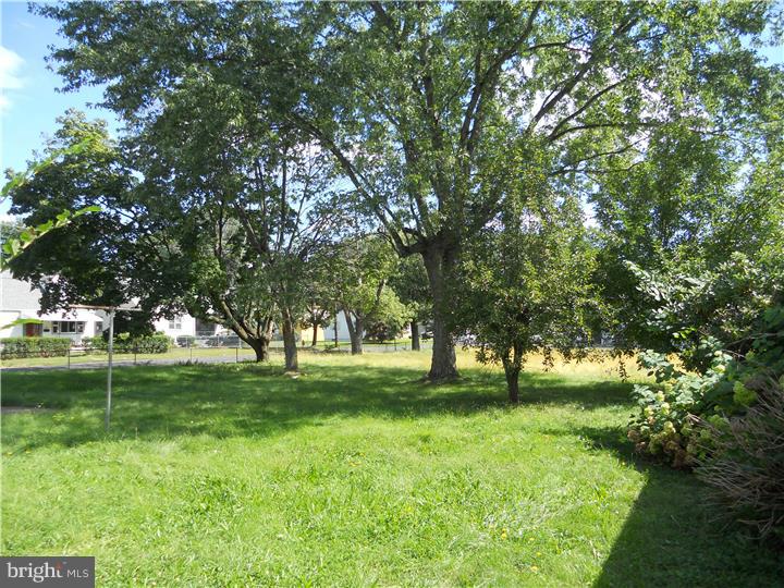 5612 Beaver Dam Road Bristol, PA 19007 - Photo 3 of 9 Back Yard