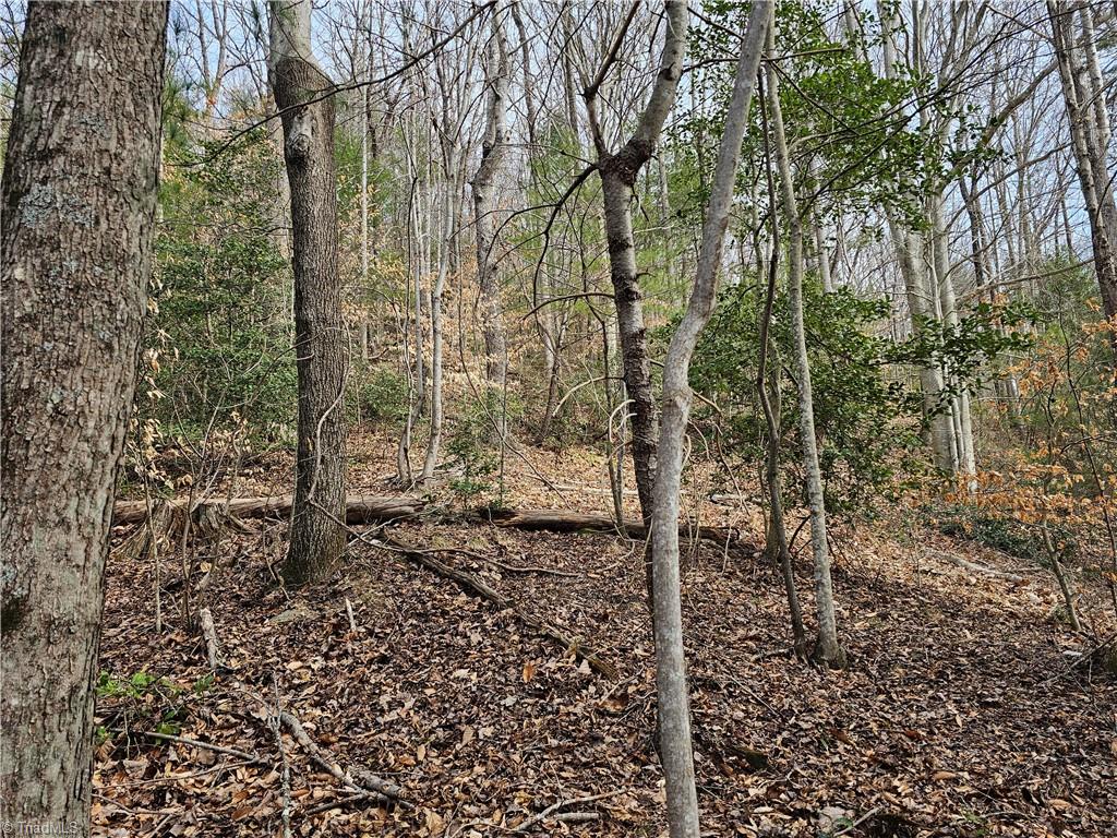Tbd Larkins Little Mountain Road Boomer, NC 28606 - Photo 1 of 22 Gallery Image 1