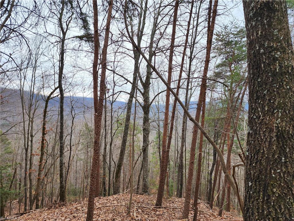 Tbd Larkins Little Mountain Road Boomer, NC 28606 - Photo 11 of 22 Gallery Image 11