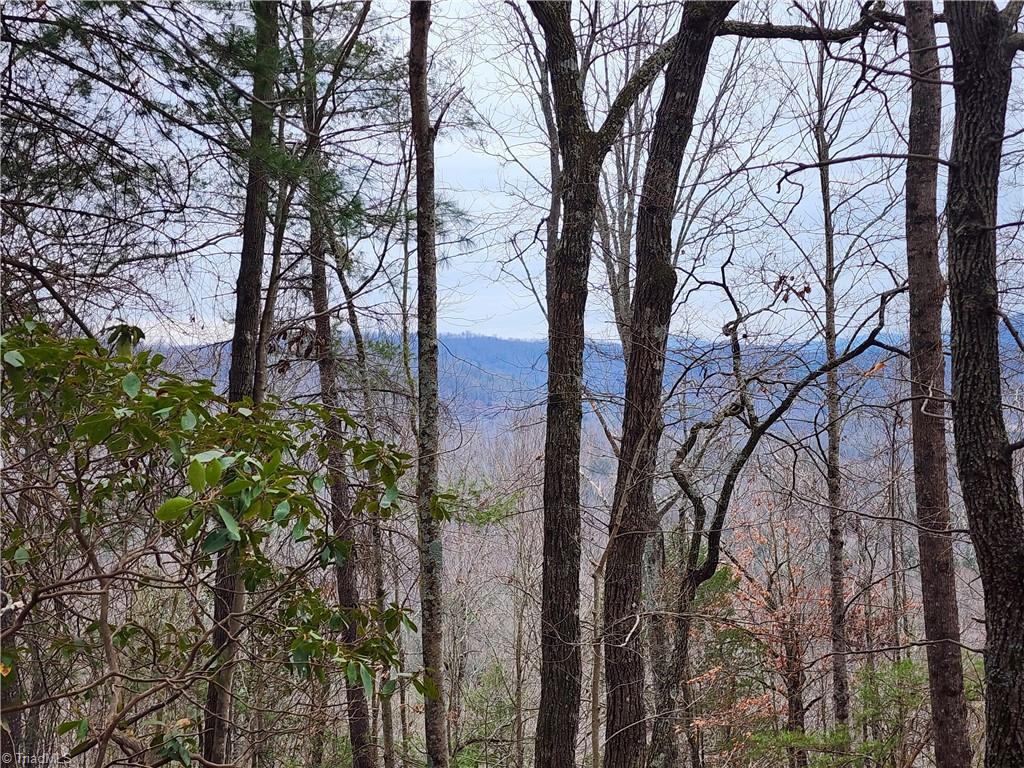Tbd Larkins Little Mountain Road Boomer, NC 28606 - Photo 13 of 22 Gallery Image 13