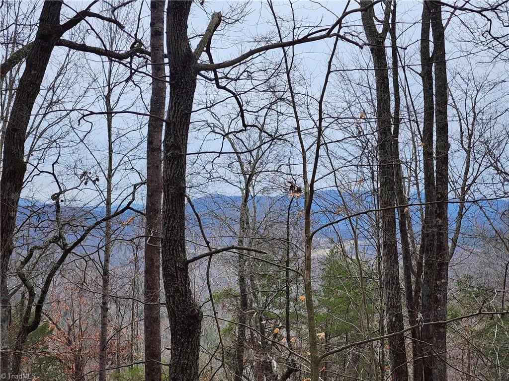 Tbd Larkins Little Mountain Road Boomer, NC 28606 - Photo 14 of 22 Gallery Image 14
