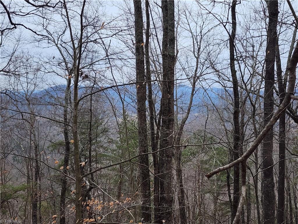 Tbd Larkins Little Mountain Road Boomer, NC 28606 - Photo 15 of 22 Gallery Image 15