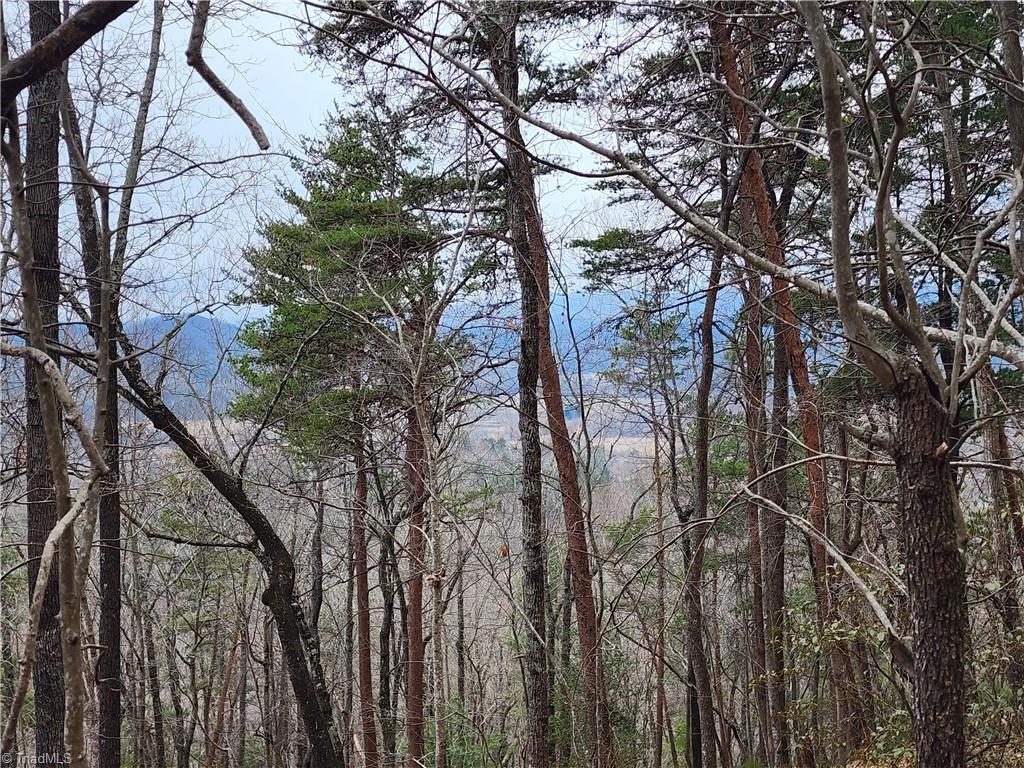 Tbd Larkins Little Mountain Road Boomer, NC 28606 - Photo 16 of 22 Gallery Image 16