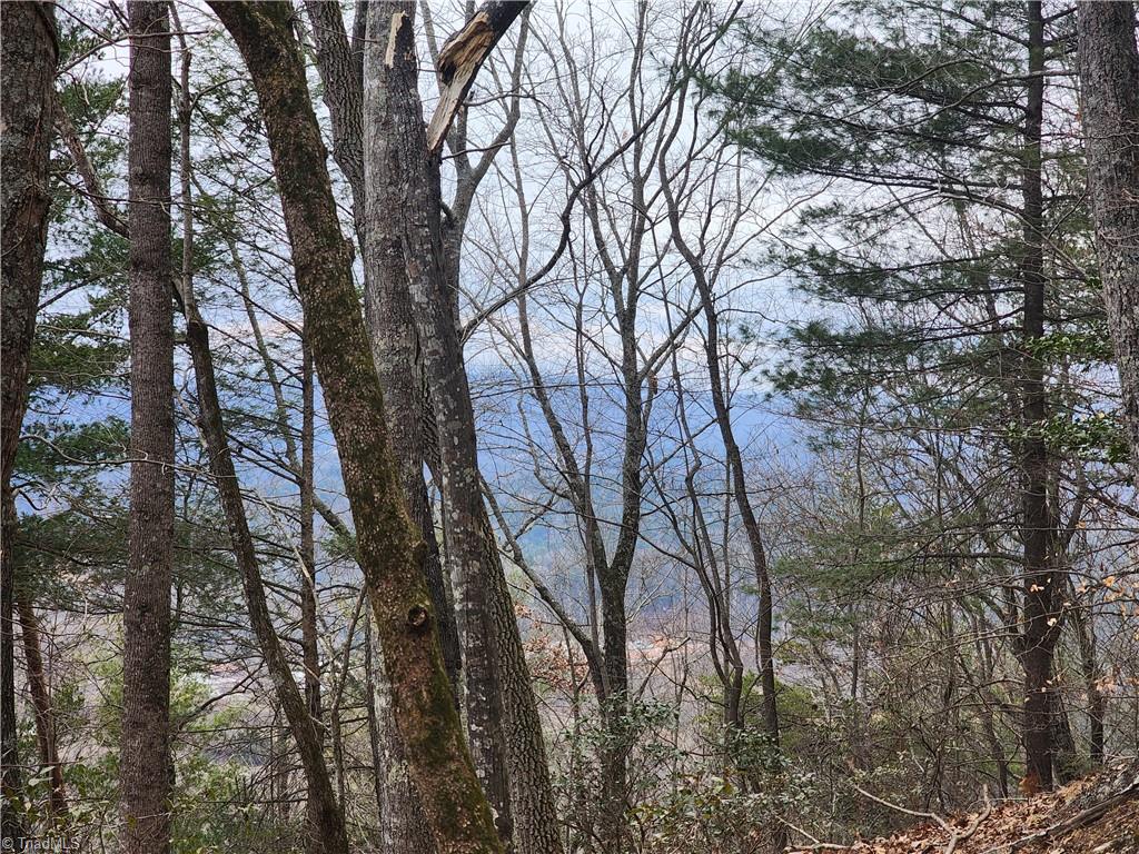 Tbd Larkins Little Mountain Road Boomer, NC 28606 - Photo 17 of 22 Gallery Image 17