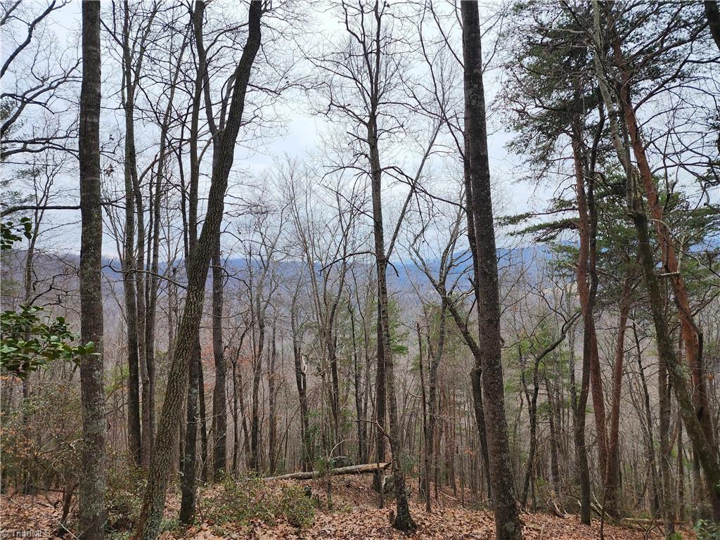 Tbd Larkins Little Mountain Road Boomer, NC 28606 - Photo 18 of 22 Gallery Image 18