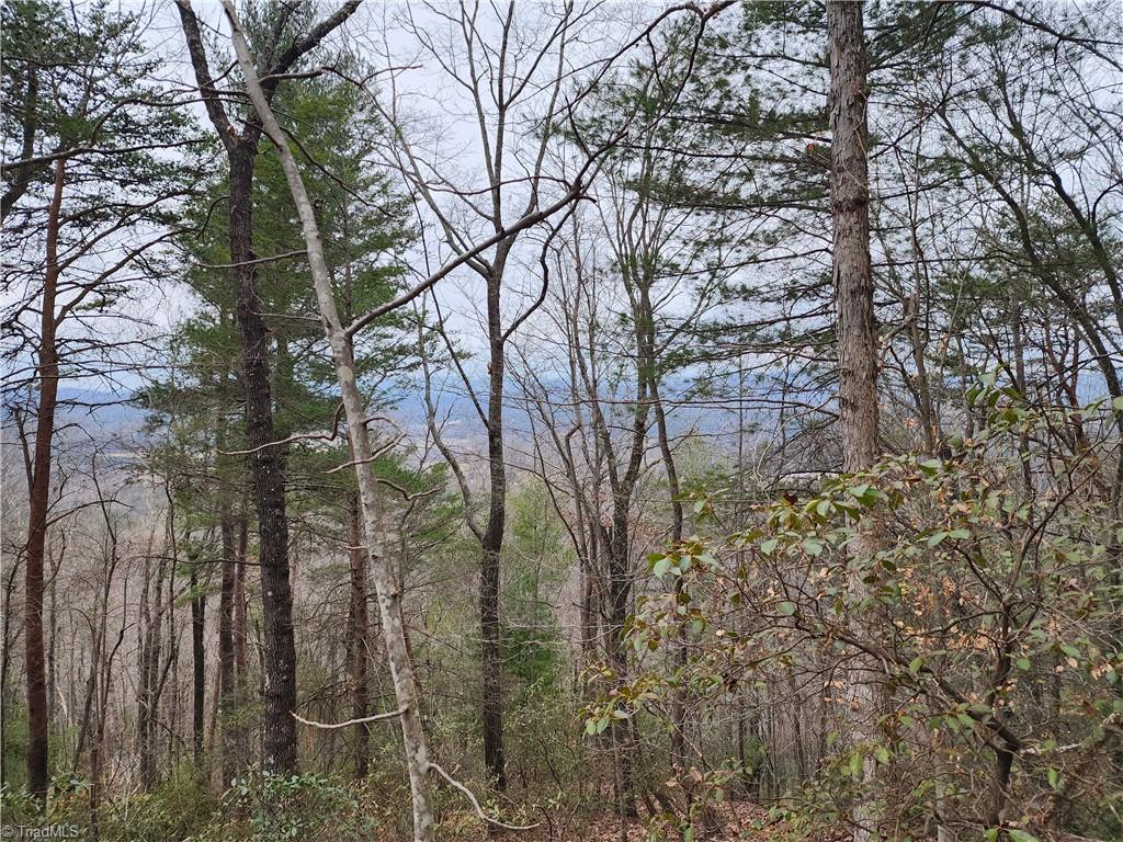 Tbd Larkins Little Mountain Road Boomer, NC 28606 - Photo 19 of 22 Gallery Image 19