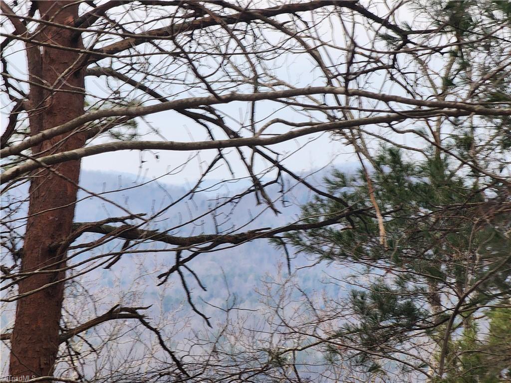 Tbd Larkins Little Mountain Road Boomer, NC 28606 - Photo 20 of 22 Gallery Image 20