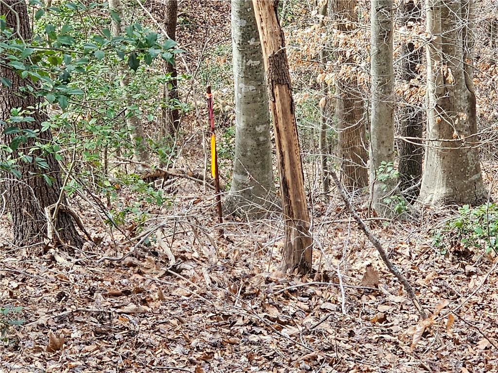 Tbd Larkins Little Mountain Road Boomer, NC 28606 - Photo 2 of 22 Gallery Image 2