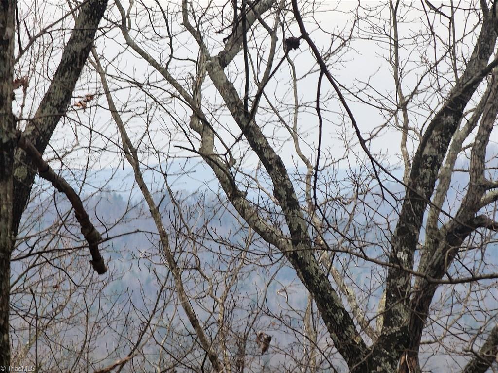 Tbd Larkins Little Mountain Road Boomer, NC 28606 - Photo 21 of 22 Gallery Image 21
