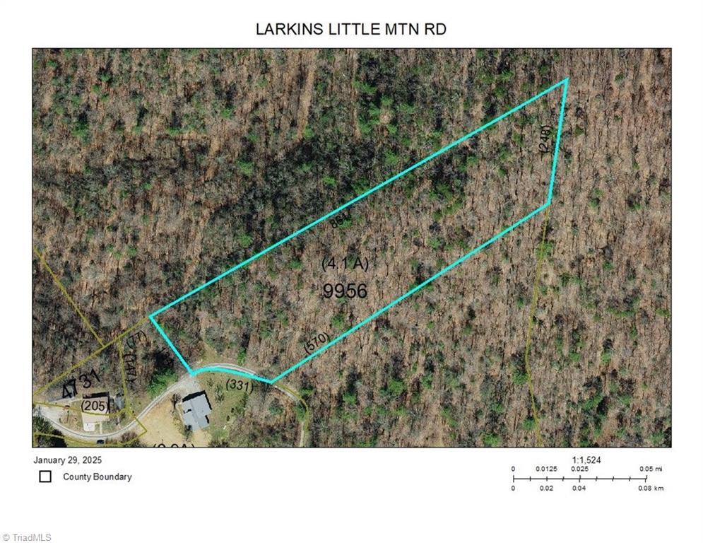 Tbd Larkins Little Mountain Road Boomer, NC 28606 - Photo 22 of 22 Gallery Image 22