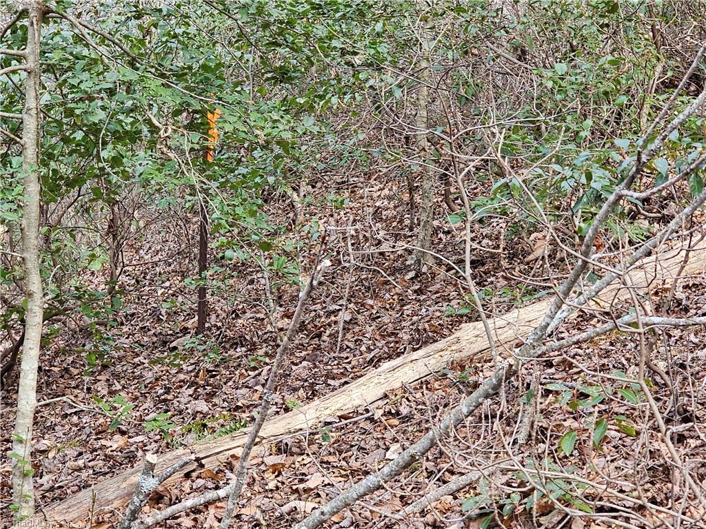 Tbd Larkins Little Mountain Road Boomer, NC 28606 - Photo 3 of 22 Gallery Image 3