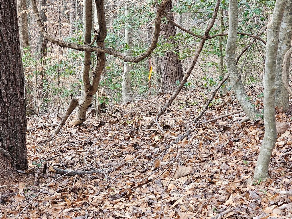 Tbd Larkins Little Mountain Road Boomer, NC 28606 - Photo 4 of 22 Gallery Image 4