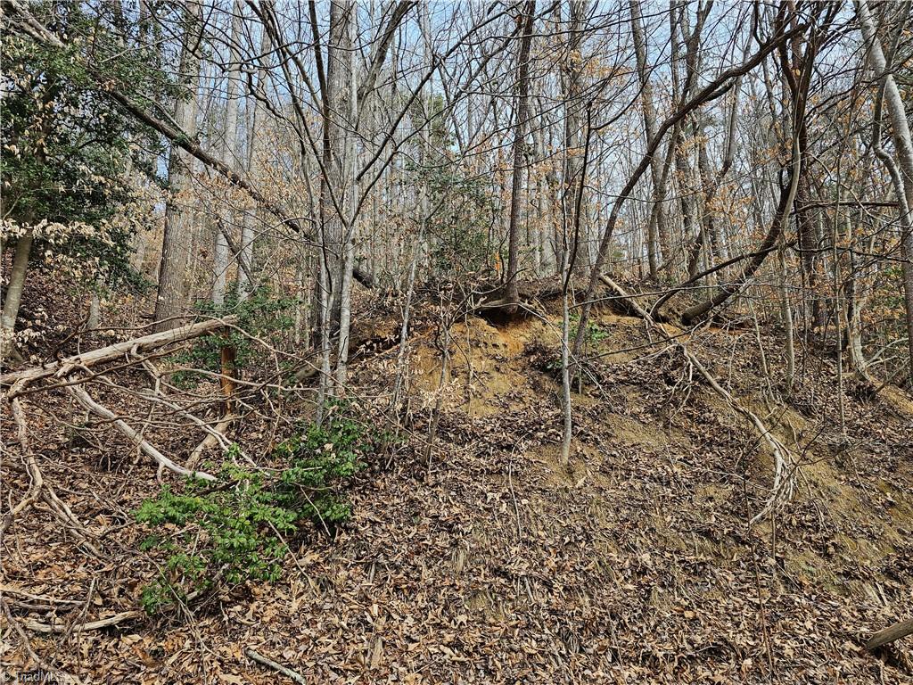 Tbd Larkins Little Mountain Road Boomer, NC 28606 - Photo 5 of 22 Gallery Image 5