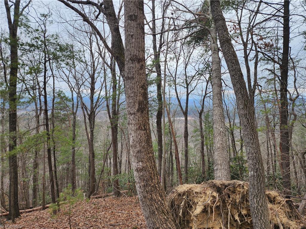 Tbd Larkins Little Mountain Road Boomer, NC 28606 - Photo 6 of 22 Gallery Image 6